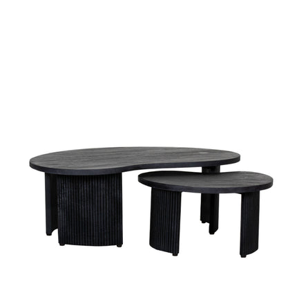 LABEL51 - Salontafel Set Timon 100x58x40 cm - Zwart Mangohout