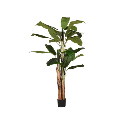 LABEL51 - Kunstplant Musa 110x110x180 cm - Groen Kunststof