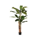 LABEL51 - Kunstplant Musa 110x110x180 cm - Groen Kunststof