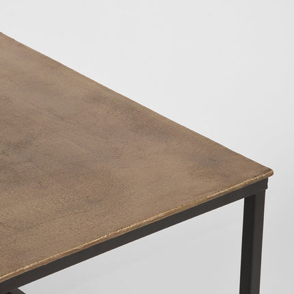 D-MAXX - Salontafel Pride 100x60x45 cm - Antiek Goud Metaal