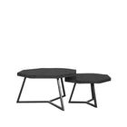 LABEL51 - Salontafel Set Figure 70x70x40 cm - Zwart Mangohout | Zwart Metaal