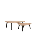 LABEL51 - Salontafel Set Rock 110x64x39 cm - Naturel Mangohout | Zwart Metaal