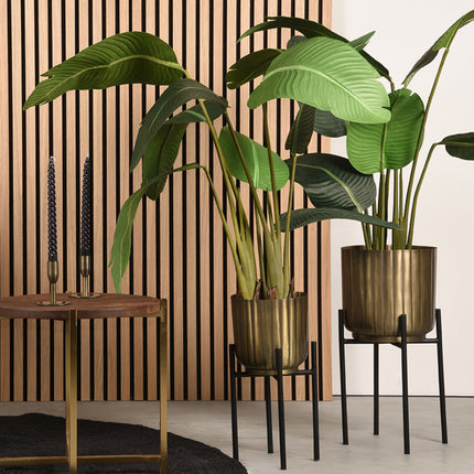 LABEL51 - Set Plantenstandaards 23x23x50 cm - Antiek Goud | Zwart Metaal