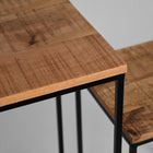 LABEL51 - Set Plantenzuilen Vintage 35x35x65 cm - Rough Mangohout | Zwart Metaal