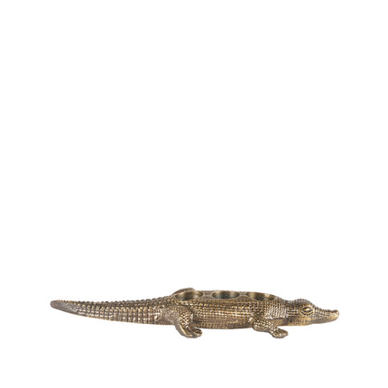 LABEL51 - Waxinelichthouder Krokodil 43x16x4 cm - Antiek Goud Metaal